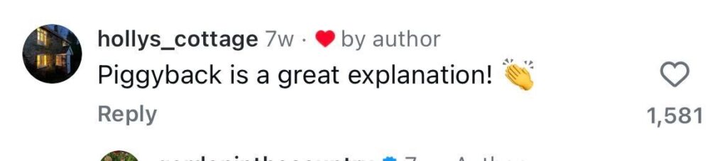 Social media comment on the post of Brit dad left stumped after his curious toddler spotted two ladybirds mating in the garden - cleverly claiming the love bugs were just giving a 'piggyback'.