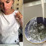 London woman Genevieve Levy reveals genius DIY fruit fly hack using washing-up liquid and vinegar going viral with 1.4m views just in time for UK bank holiday heatwave.