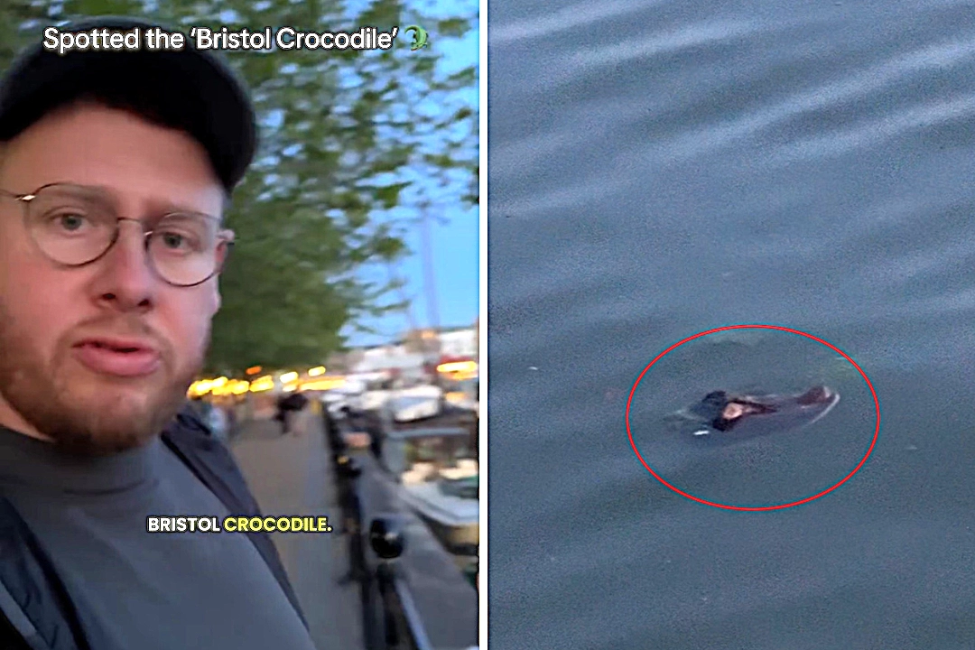 A British wildlife filmmaker nearly fell for Bristol's legendary river crocodile myth after spotting what turned out to be a shoe poking from the River Avon's surface.