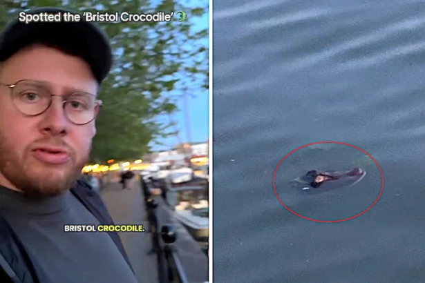 A British wildlife filmmaker nearly fell for Bristol's legendary river crocodile myth after spotting what turned out to be a shoe poking from the River Avon's surface.