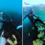 A diver received an unexpected underwater hug from a wild seal off Lundy Island in Devon, with the heartwarming footage racking up nearly four million views and melting hearts online.