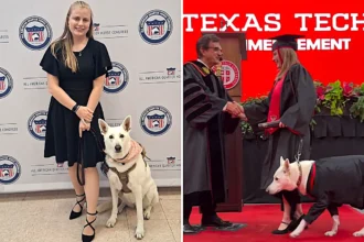 Service dog Sadie steals show as she graduates alongside owner Makaela Muse at Texas Tech, receiving her own 'dogploma' from university president in viral 12.5m view moment.