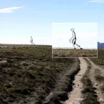 Jaw dropping photo of a see through alien with a mantis style head is officially declared authentic by FBI experts - and sparks UFO conspiracy meltdown online.