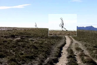 Jaw dropping photo of a see through alien with a mantis style head is officially declared authentic by FBI experts - and sparks UFO conspiracy meltdown online.