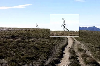 Jaw dropping photo of a see through alien with a mantis style head is officially declared authentic by FBI experts - and sparks UFO conspiracy meltdown online.