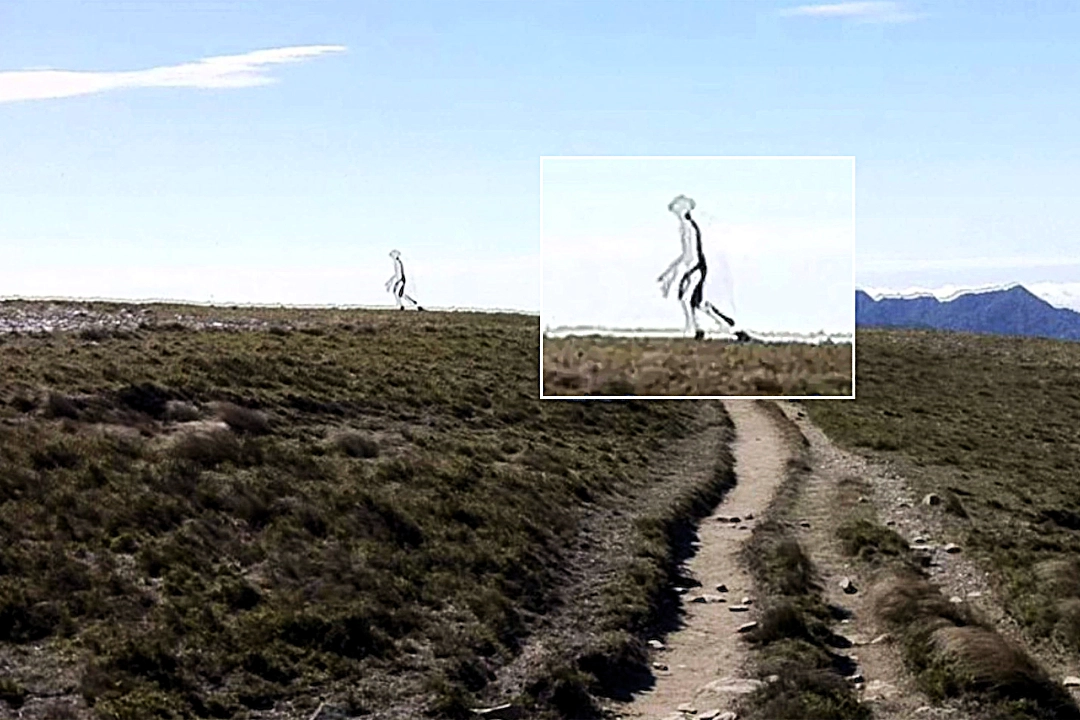 Jaw dropping photo of a see through alien with a mantis style head is officially declared authentic by FBI experts - and sparks UFO conspiracy meltdown online.