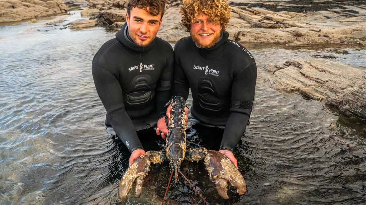 Two brothers spearfishing off the coast of Cornwall stumbled upon a massive lobster twice the weight of a newborn baby - and made the incredible decision to throw it back.
