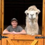 A Canadian man spent £19,000 buying his wife a 1,700lb camel called Mayhem after she spent years jokingly asking him to bring one home from his work trips to Saudi Arabia.