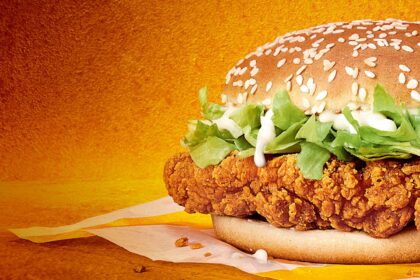 Gutted McDonald's fans slam fast food giant for quietly axing fan-favourite McSpicy burger from UK menus, sparking furious social media backlash.