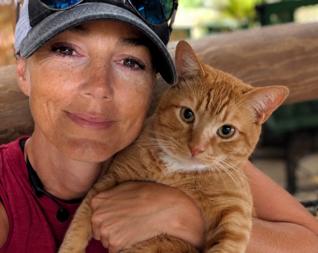 Pet owner Madison Sprague stunned to find her cat Chucky curled up inside the toilet bowl - the orange tabby's bizarre hiding spot has gone viral online.