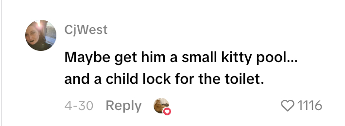 Social media comment on the post of Pet owner Madison Sprague stunned to find her cat Chucky curled up inside the toilet bowl - the orange tabby's bizarre hiding spot has gone viral online.