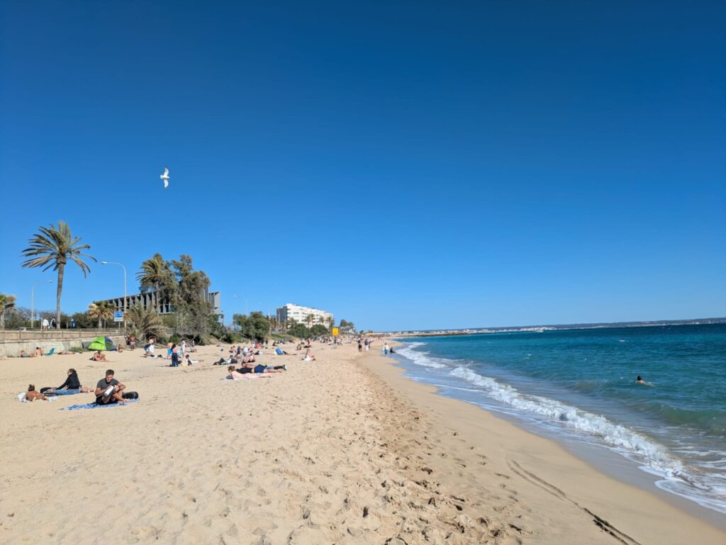 Adventurous pals Helen Dalling and Alina Durrington enjoyed a whirlwind 16-hour Palma day trip with tapas, swimming and sightseeing for just £117 each.