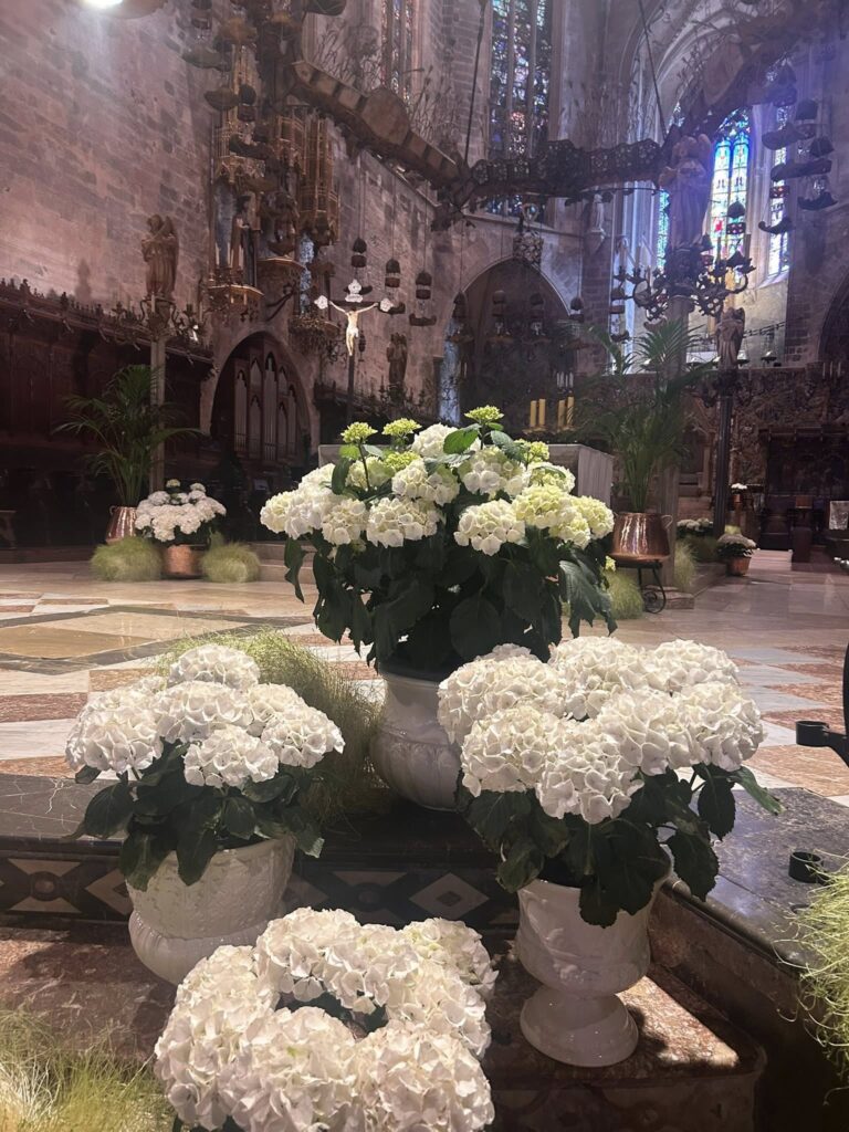 Adventurous pals Helen Dalling and Alina Durrington enjoyed a whirlwind 16-hour Palma day trip with tapas, swimming and sightseeing for just £117 each.