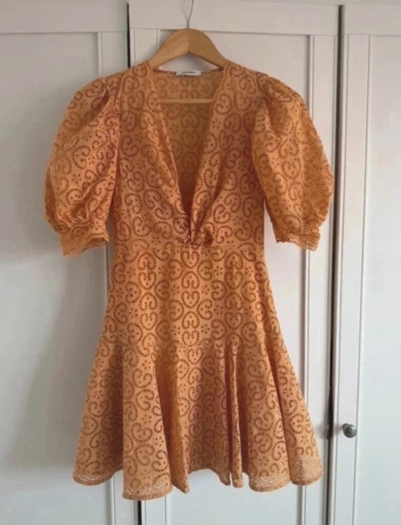 Bargain hunter reveals how she picked up a stunning designer dress worth more than 300 pounds for just 3 pounds in a local charity shop - and it's gorgeous.