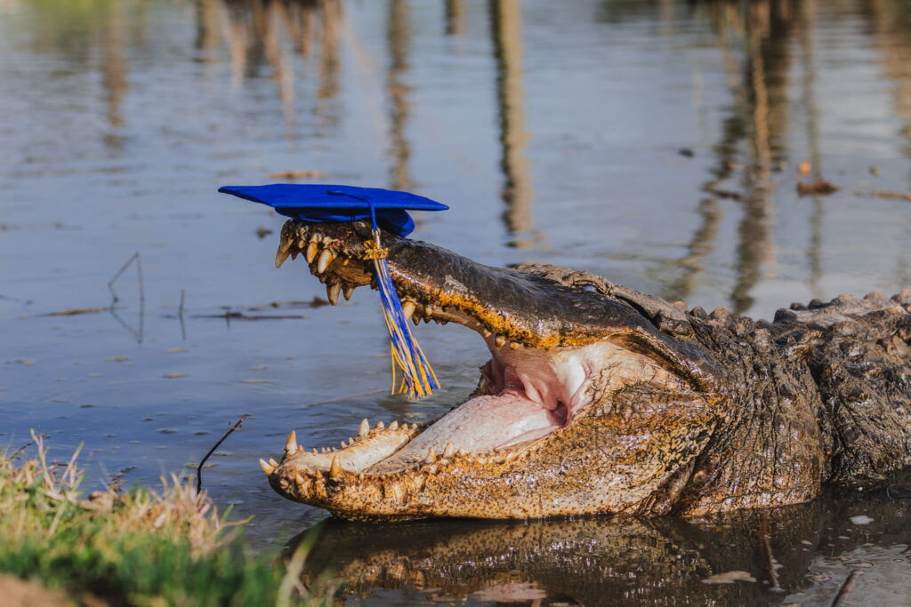 Science graduate Katalina Daley, 22, sparks viral attention posing with massive alligators Big Al and Tex in daring graduation photoshoot at Texas wildlife sanctuary.