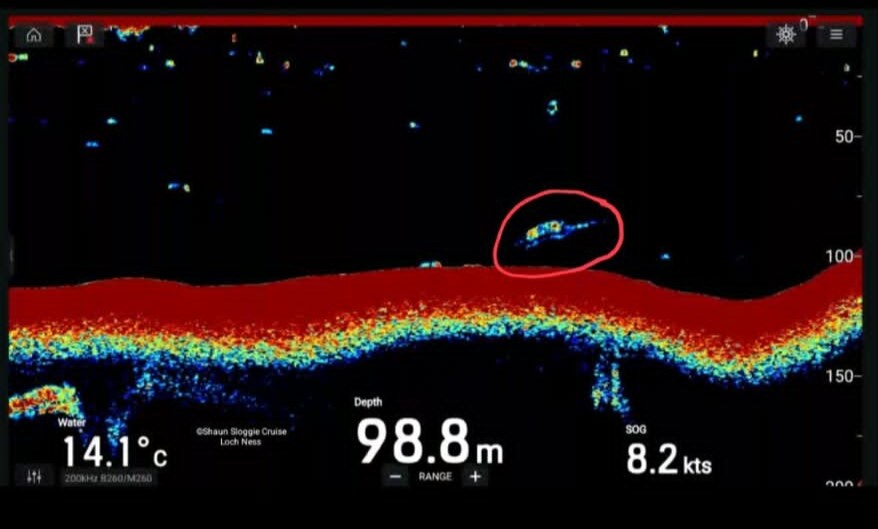 Loch Ness boat skipper Shaun Sloggie claims he's spotted Nessie on sonar - convinced the plesiosaur-shaped contact 300 feet down is the legendary monster.