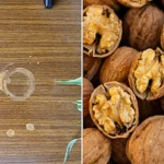 Mrs Hinch fans have revealed that rubbing a walnut on scratched wooden furniture removes water rings and marks, with the cheap kitchen staple costing just a few pence per fix.