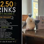 Cornish pub The Cornish Arms goes viral after slashing pint prices to just £2.50 with new 'Proper Pub Prices' initiative to bring back affordable locals in Constantine.