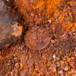 Six nineteenth-century coins discovered hidden beneath HMS Victory's foremast during Portsmouth Historic Dockyard's £42 million Big Repair conservation project.