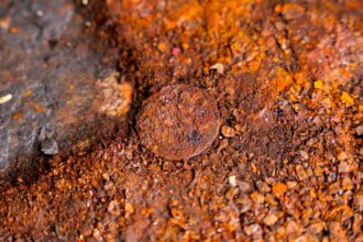 Six nineteenth-century coins discovered hidden beneath HMS Victory's foremast during Portsmouth Historic Dockyard's £42 million Big Repair conservation project.