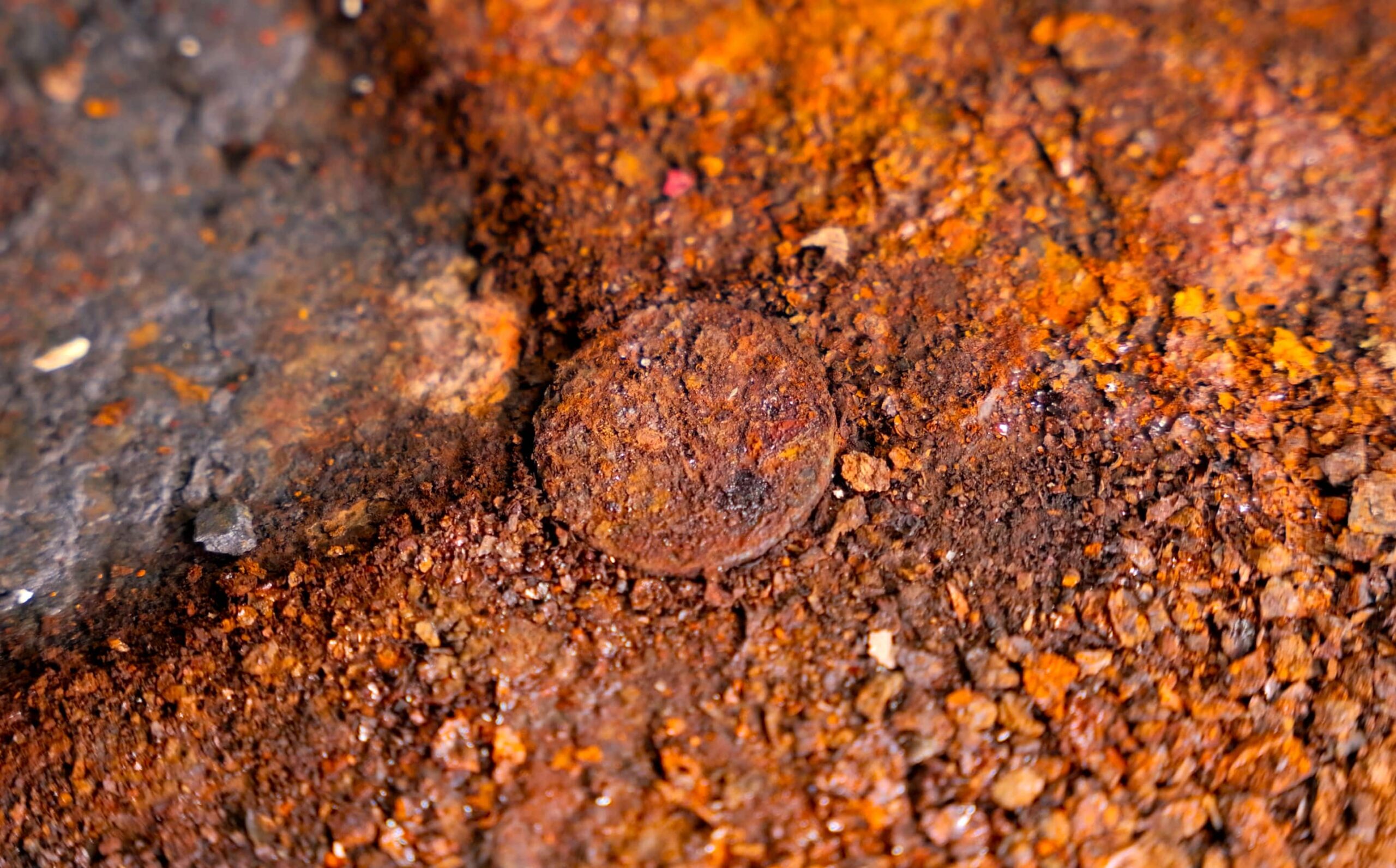 Six nineteenth-century coins discovered hidden beneath HMS Victory's foremast during Portsmouth Historic Dockyard's £42 million Big Repair conservation project.