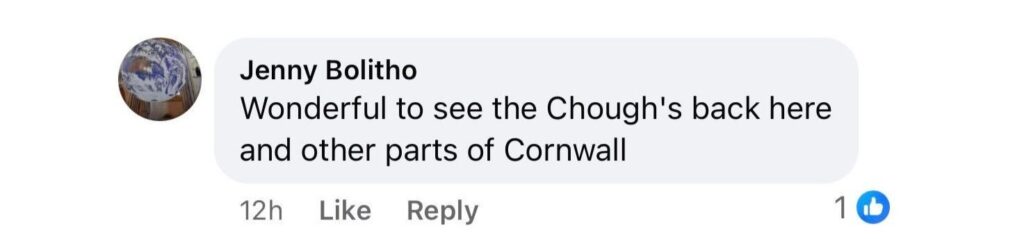 Social media comment on the post of Chattering of extinct Choughs have returned to King Arthur's legendary castle for the first time in 100 years - and the magical reason will leave you stunned.