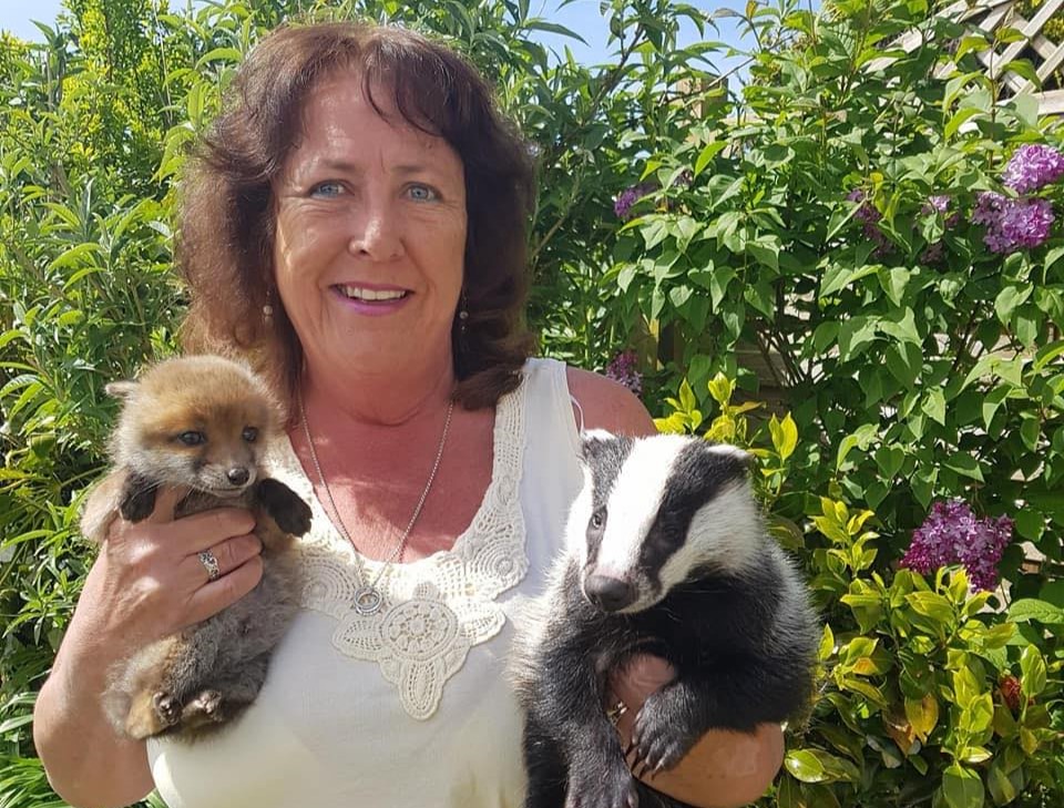 An animal rescuer has called it the most bonkers thing she has ever seen - a mouse squeezed into a narrow bird feeder in Devon and gave birth to a litter inside.