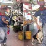 A social media star was bitten on the backside by a dog mid-dance while filming himself performing salsa moves to Shakira's official World Cup anthem in a Colombian market.