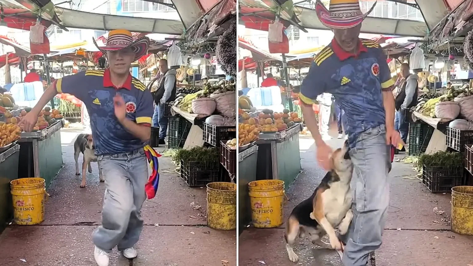 A social media star was bitten on the backside by a dog mid-dance while filming himself performing salsa moves to Shakira's official World Cup anthem in a Colombian market.