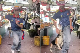 A social media star was bitten on the backside by a dog mid-dance while filming himself performing salsa moves to Shakira's official World Cup anthem in a Colombian market.