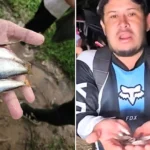 Hundreds of fish rained down from the sky during a storm in inland Honduras - as locals rushed out with buckets to collect them in an event reported for over a century.