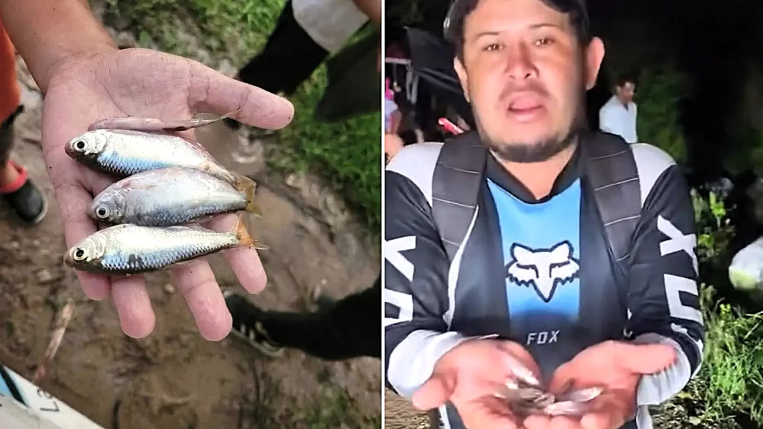 Hundreds of fish rained down from the sky during a storm in inland Honduras - as locals rushed out with buckets to collect them in an event reported for over a century.