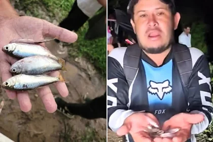 Hundreds of fish rained down from the sky during a storm in inland Honduras - as locals rushed out with buckets to collect them in an event reported for over a century.