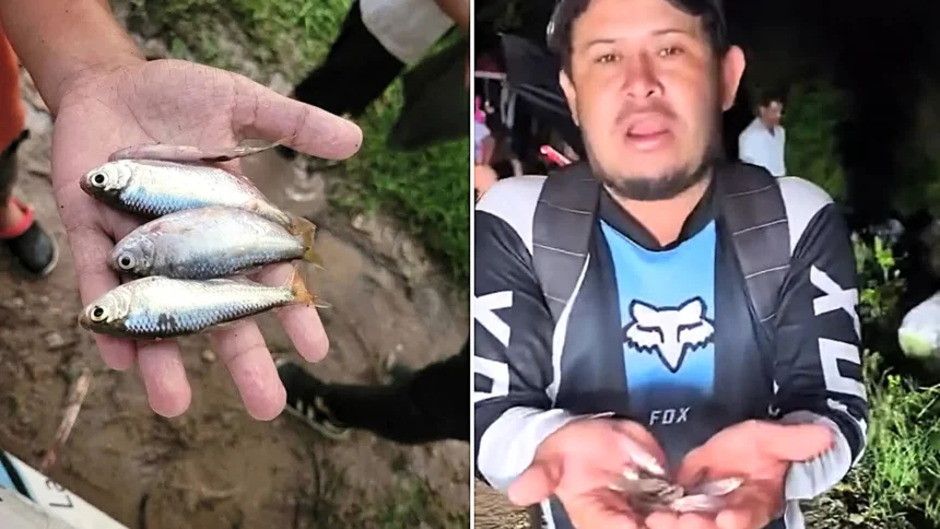 Hundreds of fish rained down from the sky during a storm in inland Honduras - as locals rushed out with buckets to collect them in an event reported for over a century.