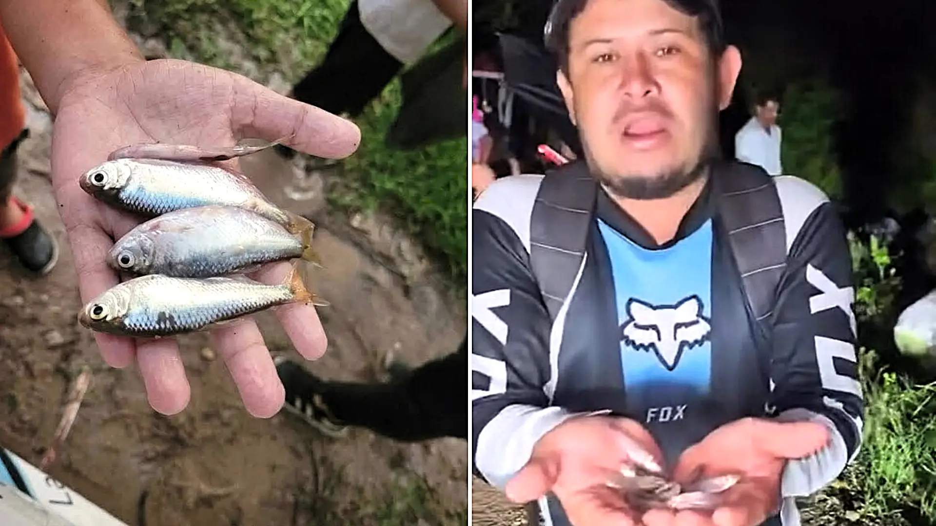 Hundreds of fish rained down from the sky during a storm in inland Honduras - as locals rushed out with buckets to collect them in an event reported for over a century.