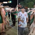 A family's month-long search for their missing dog ended in joy after they spotted her being carried aloft by partying fans celebrating Mexico's World Cup win live on TV.