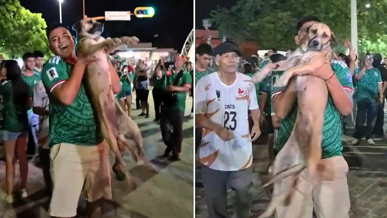 A family's month-long search for their missing dog ended in joy after they spotted her being carried aloft by partying fans celebrating Mexico's World Cup win live on TV.