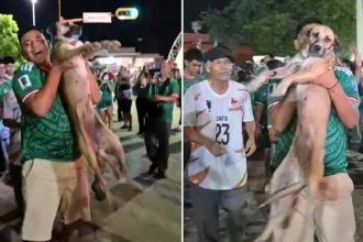 A family's month-long search for their missing dog ended in joy after they spotted her being carried aloft by partying fans celebrating Mexico's World Cup win live on TV.
