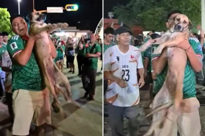 A family's month-long search for their missing dog ended in joy after they spotted her being carried aloft by partying fans celebrating Mexico's World Cup win live on TV.
