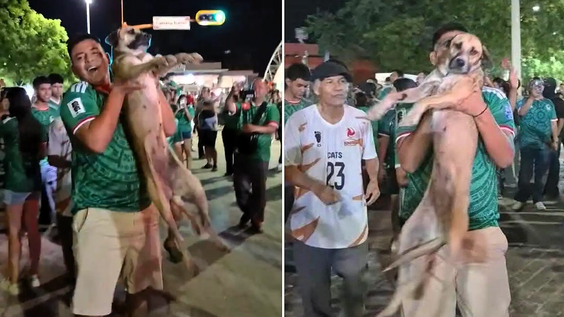 A family's month-long search for their missing dog ended in joy after they spotted her being carried aloft by partying fans celebrating Mexico's World Cup win live on TV.
