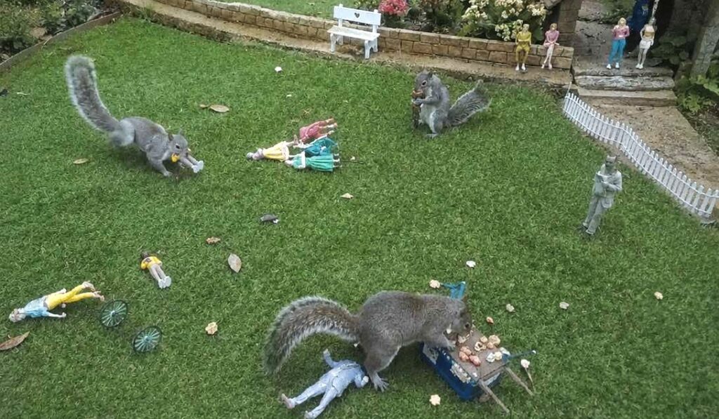 Squirrels have declared war on a Hampshire model village - the latest attack left a wedding display in ruins with the bride, groom and best man all decapitated in a coordinated raid.