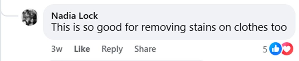 Mrs Hinch fans are raving about Elbow Grease - a £1.20 spray - after one woman asked how to remove stubborn brown stains from her toilet seat, saying it melts them away.