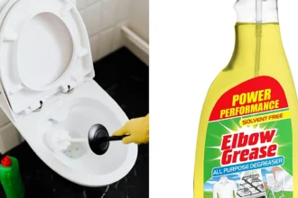 Mrs Hinch fans are raving about Elbow Grease - a £1.20 spray - after one woman asked how to remove stubborn brown stains from her toilet seat, saying it melts them away.