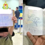 A mum was forced to cancel her overseas work trip after her young son doodled a dinosaur in her passport hours before her flight - the damage cost her £114 to fix.