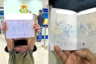 A mum was forced to cancel her overseas work trip after her young son doodled a dinosaur in her passport hours before her flight - the damage cost her £114 to fix.