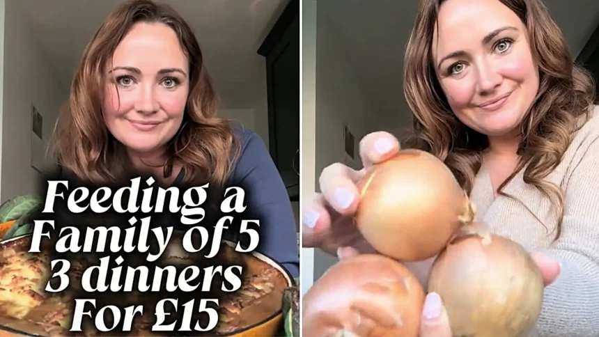 A mum-of-three made a roast dinner, cottage pie and mozzarella stuffed meatballs for her family of five for just £15 after a quick Aldi shop - around £1 per portion.