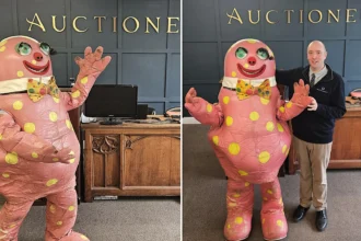 One of just three original Mr Blobby costumes - used for stunts and a helicopter dangle - could fetch up to £5,000 at a Bristol auction this month.