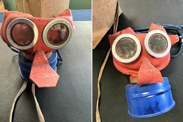 Rare World War II "Mickey Mouse" gas mask designed to look less scary for children discovered after spending 80 years hidden in wardrobe of original owner.