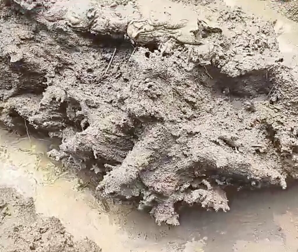 Stunned villagers in China found a rare 130cm fulgurite - a glassy boulder formed when lightning struck a wheat field during a violent thunderstorm and melted the earth instantly.