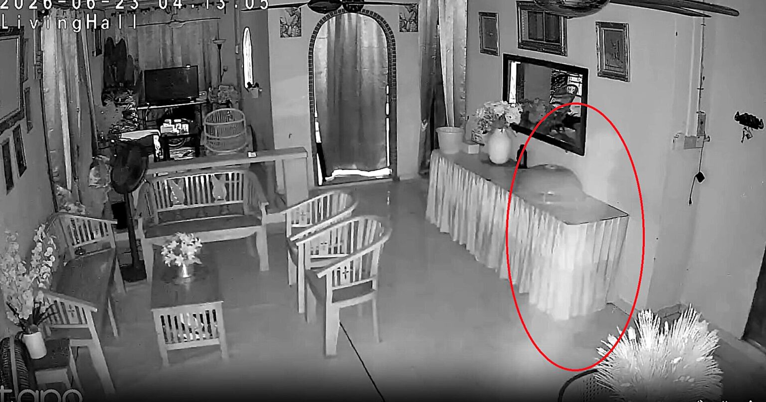 A woman was left spooked after her mother's CCTV appeared to capture a misty, ghost-like figure gliding through the living room at 3am, sparking fierce debate online over what it really is.